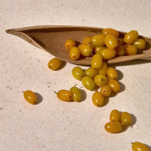 [KAINE] VITA DROP SERUM 30ML