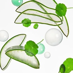 [TOCOBO] CICA CALMING SUN SERUM DELUXE SPF50