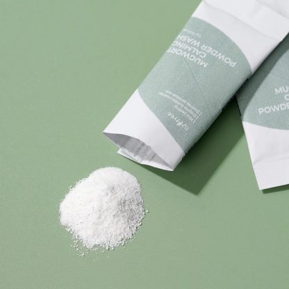 ISNTREE Mugwort Calming Powder Wash 1 g 25pcs